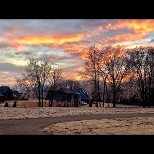 Meet your Posher, Ellie